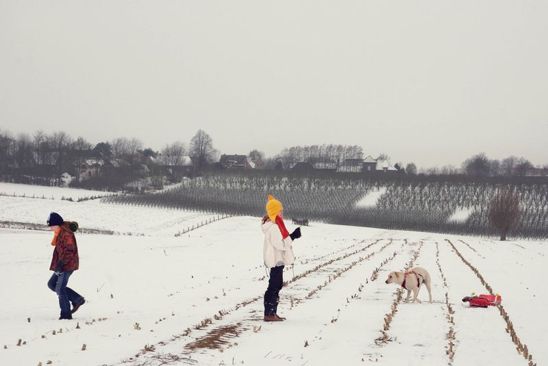 © An-sofie Kesteleyn - Image from the A lamb named Beauty photography project