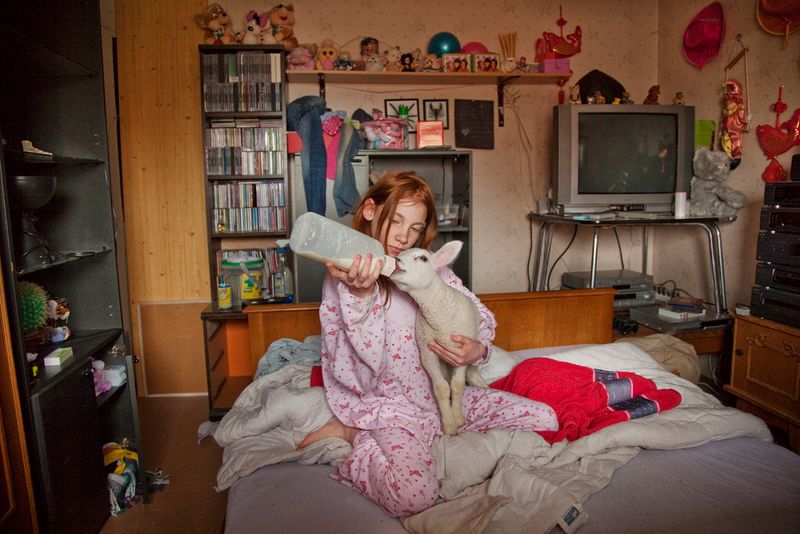 © An-sofie Kesteleyn - Image from the A lamb named Beauty photography project