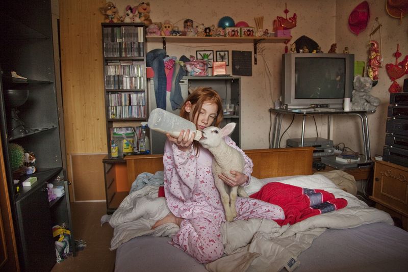 © An-sofie Kesteleyn - Image from the A lamb named Beauty photography project