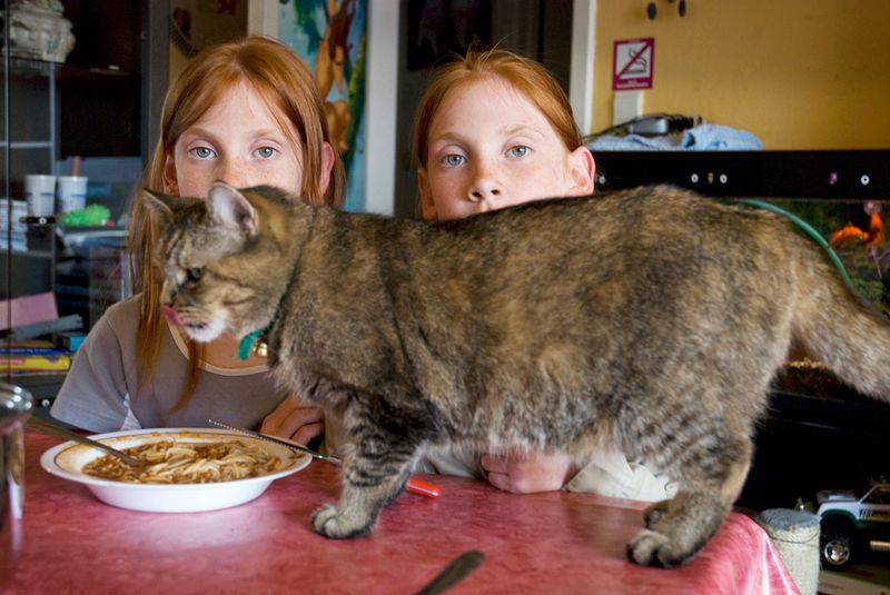 © An-sofie Kesteleyn - Image from the A lamb named Beauty photography project