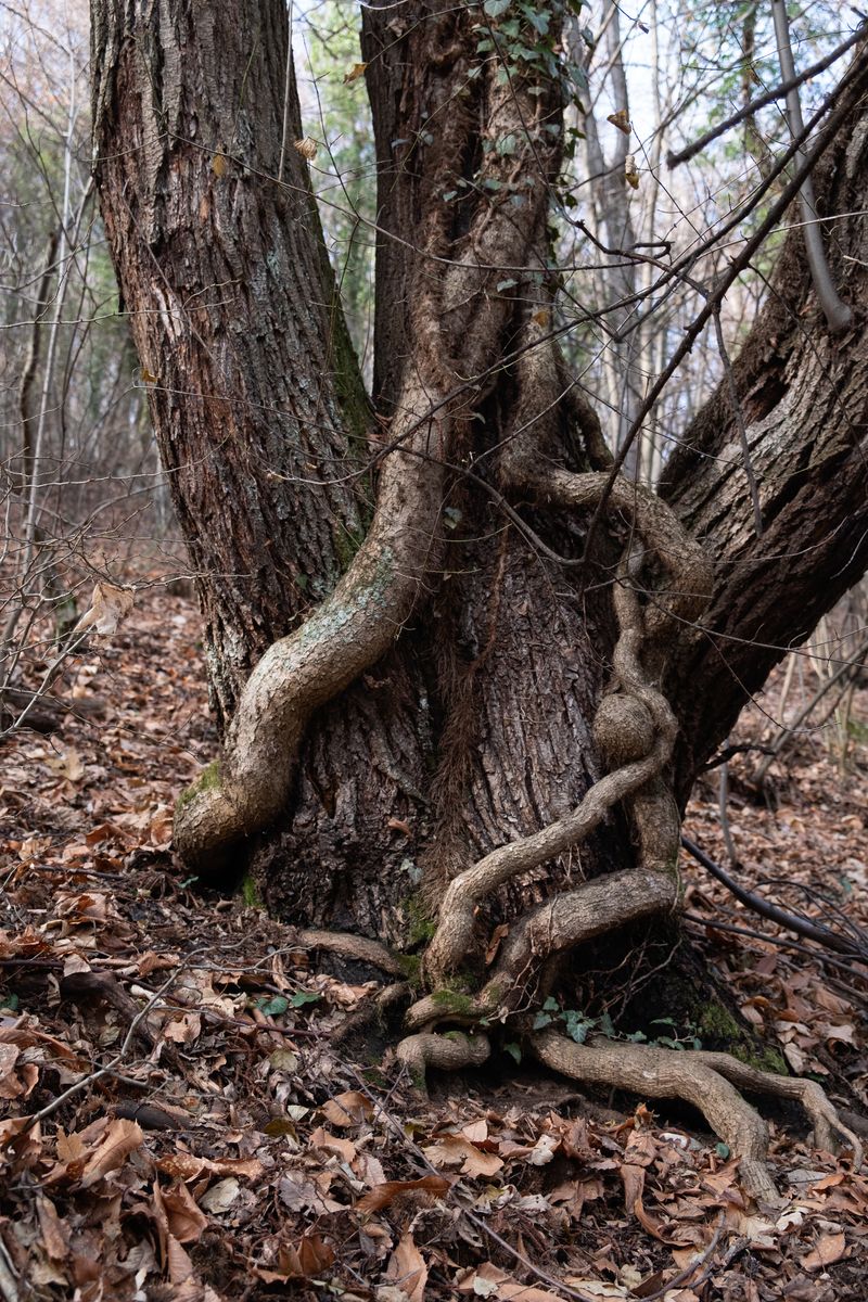 © Inia - Image from the Mama Where Am I? photography project