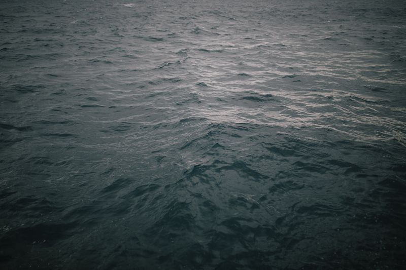 © Inia - With You