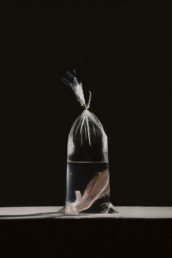 © Wenqingao Lei - Image from the Lost in Metamorphoses photography project