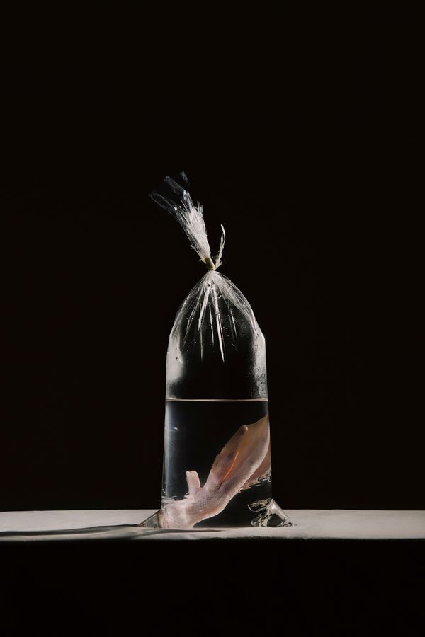 © Wenqingao Lei - Image from the Lost in Metamorphoses photography project