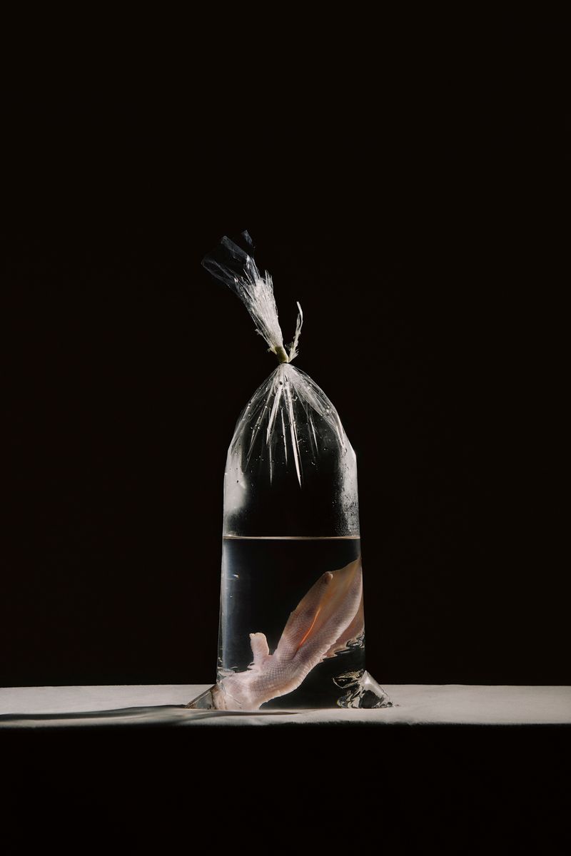 © Wenqingao Lei - Image from the Lost in Metamorphoses photography project