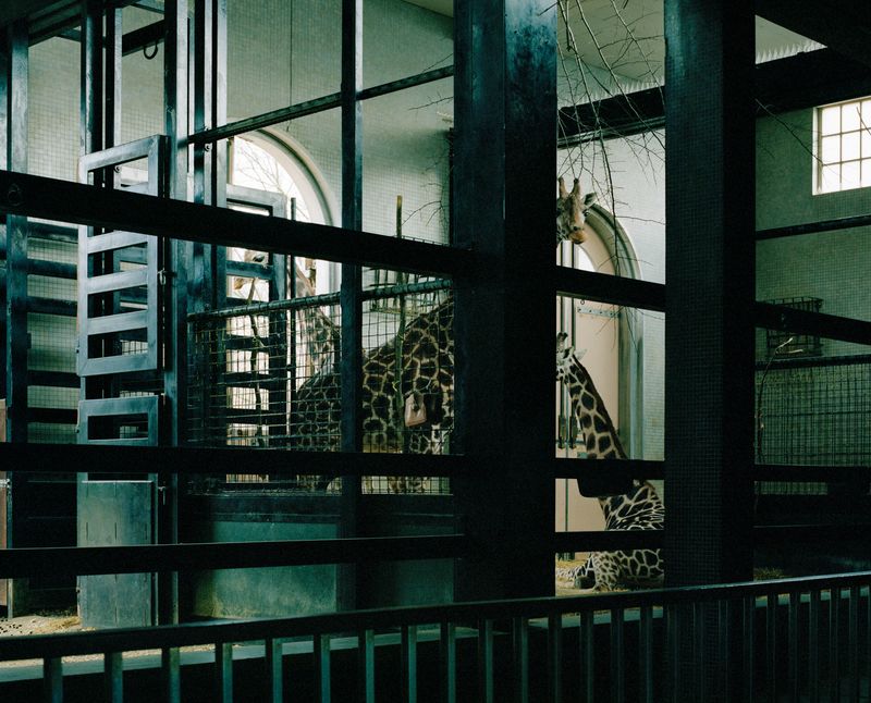 © Wenqingao Lei - Image from the Lost in Metamorphoses photography project