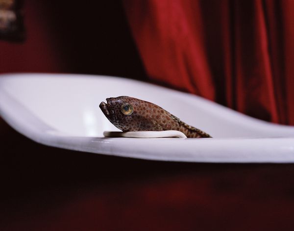 © Wenqingao Lei - Image from the Lost in Metamorphoses photography project