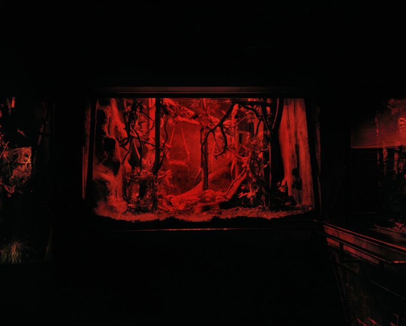 © Wenqingao Lei - Image from the Lost in Metamorphoses photography project