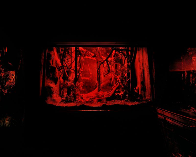 © Wenqingao Lei - Image from the Lost in Metamorphoses photography project