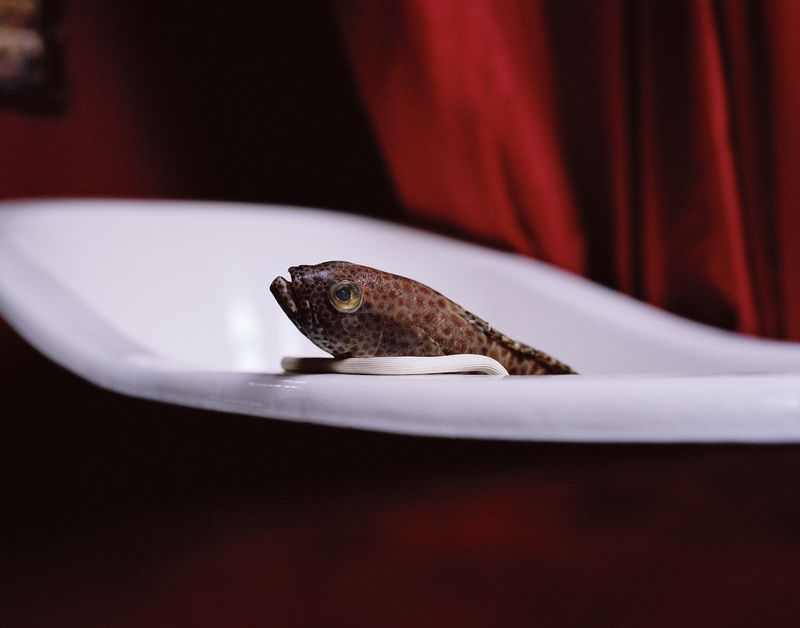 © Wenqingao Lei - Image from the Lost in Metamorphoses photography project