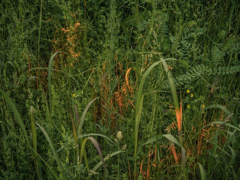 © Stephen Voss - Image from the Dark Fiber - Where AI Lives photography project