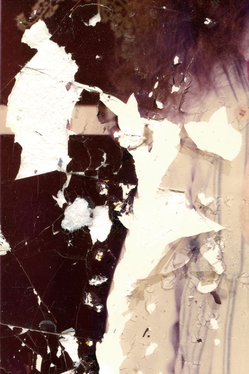 © Raisan Hameed