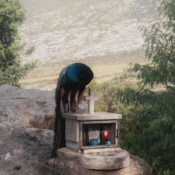 © George Kamelakis