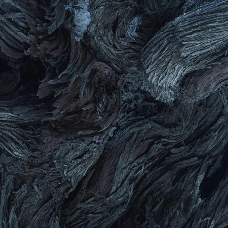 © Dusk Doriyan Todorov