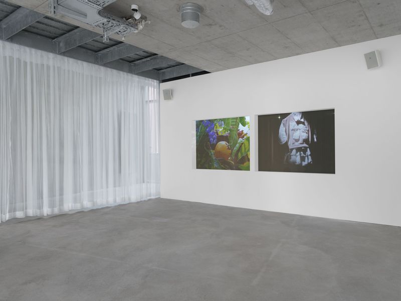 © Diane Severin Nguyen