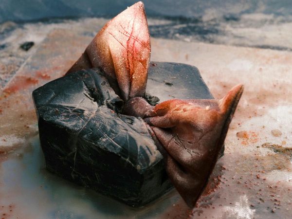 © Diane Severin Nguyen