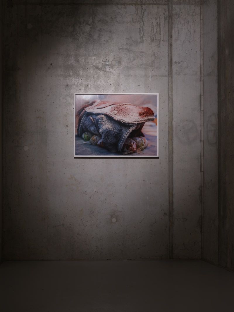 © Diane Severin Nguyen