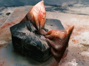 Spring Snow by Diane Severin Nguyen at Neue Nationalgalerie