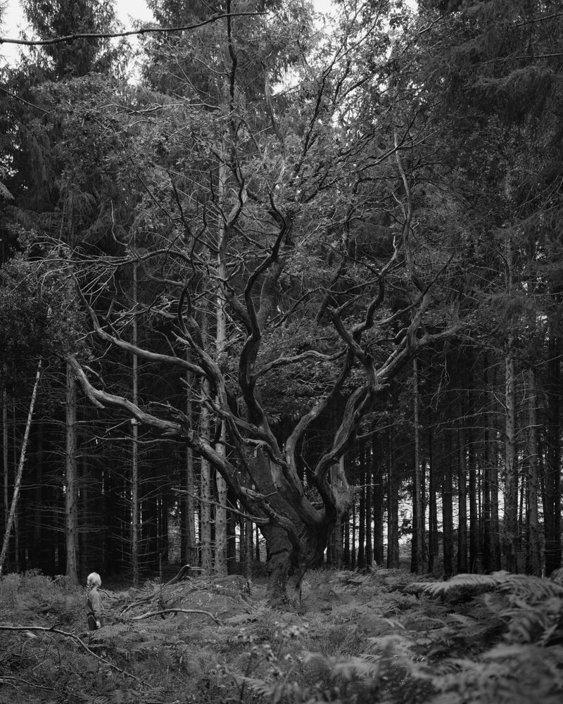 © Sebastian Alten - Image from the du sagtest quarzit / sagtest weiß photography project