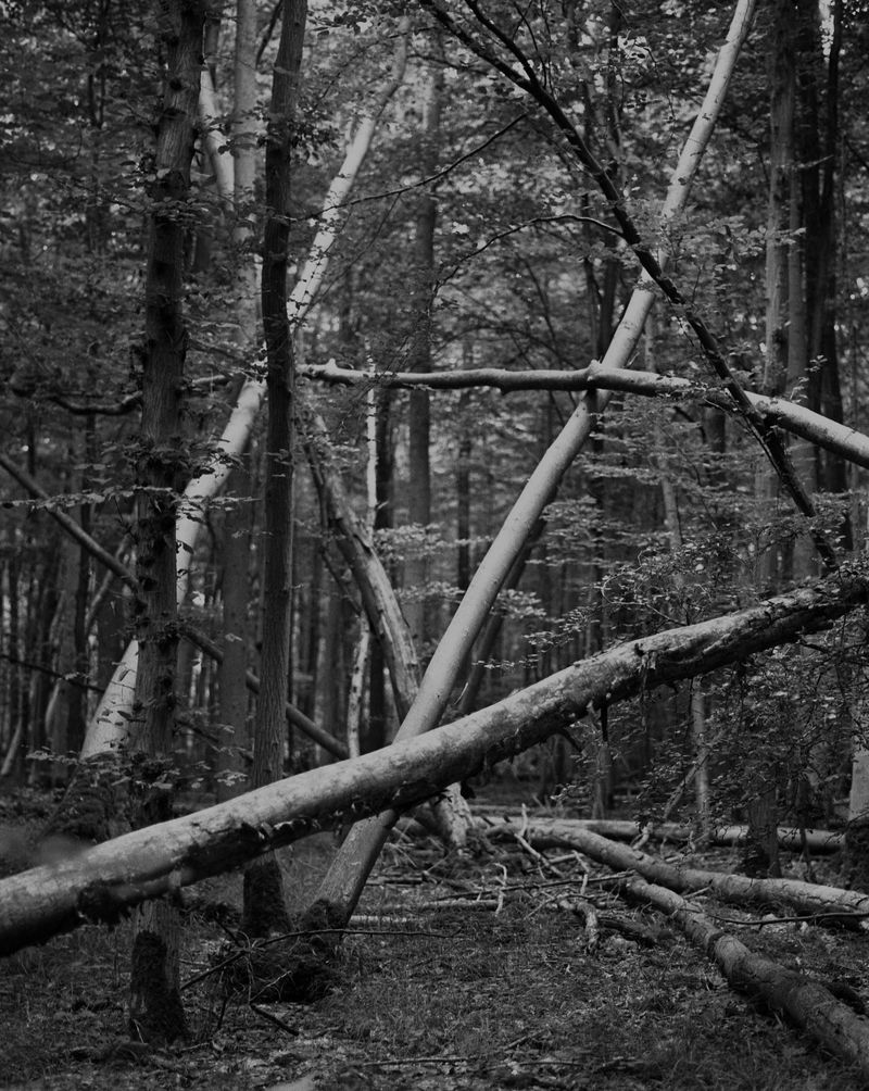 © Sebastian Alten - Image from the du sagtest quarzit / sagtest weiß photography project