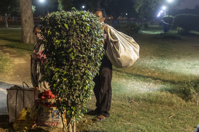 © Ishan Tankha - Image from the still, life photography project