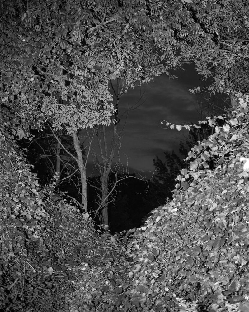 © Michael Hicks - Image from the Something More Than Night photography project