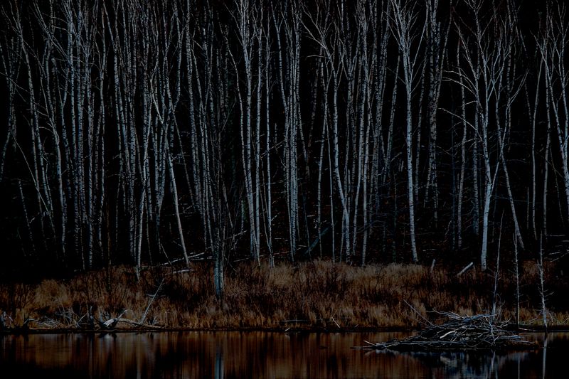 © Oerjan Ellingvaag - Image from the Human Nature photography project