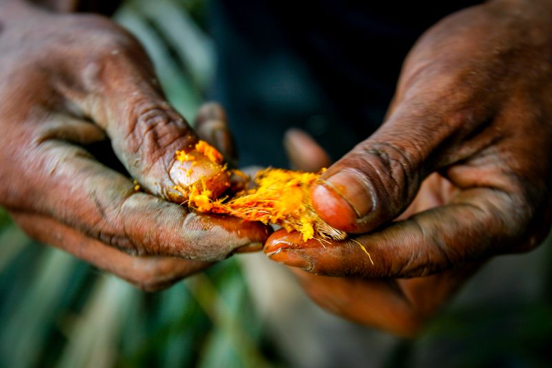 © Oerjan Ellingvaag - Image from the Human Nature photography project