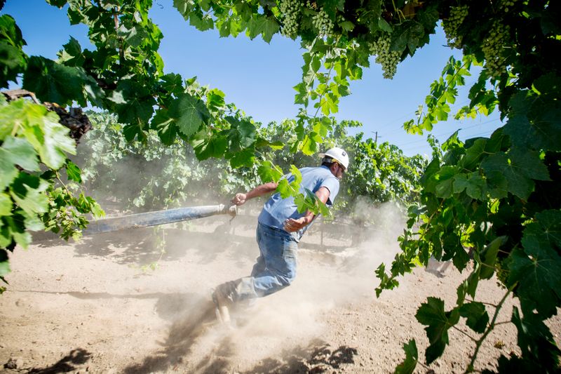 © Oerjan Ellingvaag - Image from the Human Nature photography project