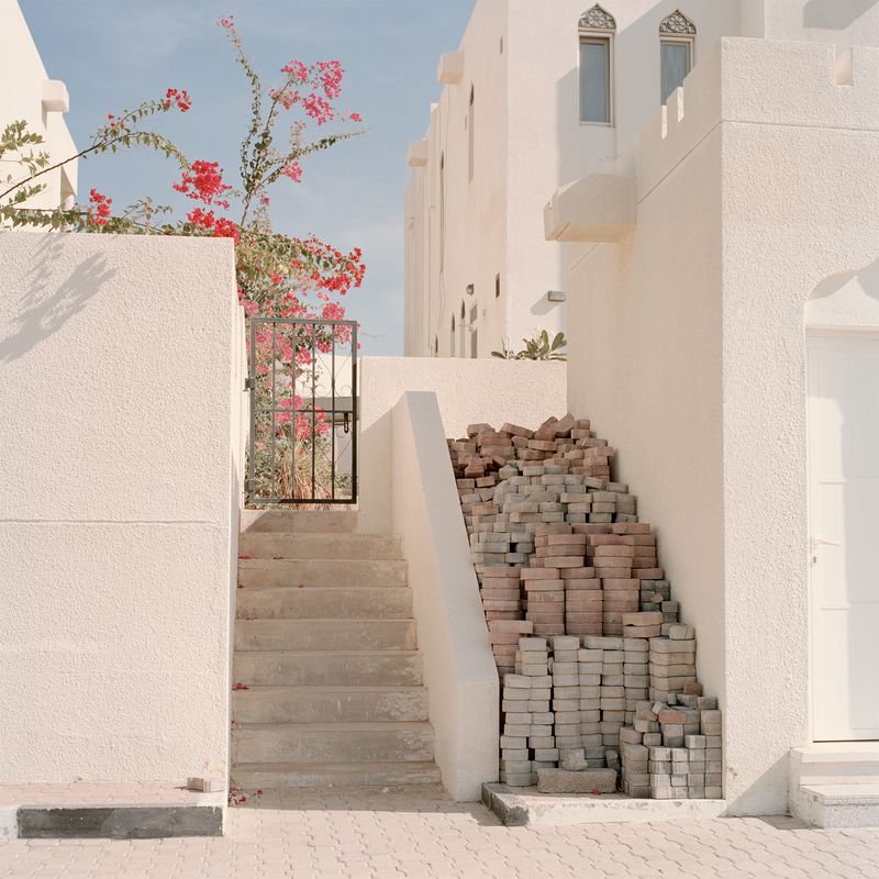 © Josh Adam Jones - Pink blossom, 2019.