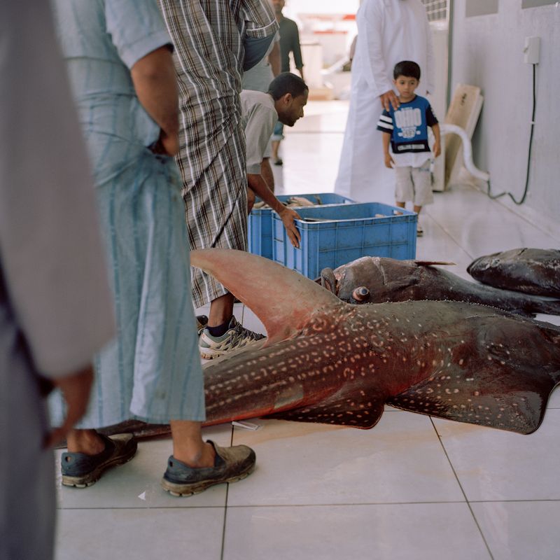 © Josh Adam Jones - Muttrah Fish Market, 2018.