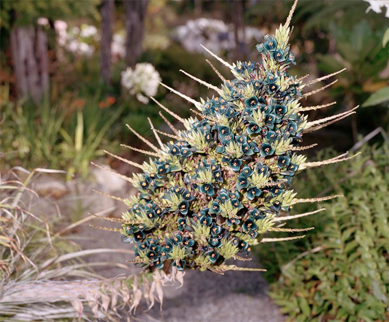 © Jake Mein - Untitled, Ashes, 2019.