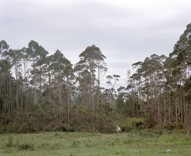 © Jake Mein - Untitled, Ashes, 2019.