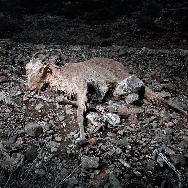 © Chloe Pissa - Image from the The R of Taurus photography project