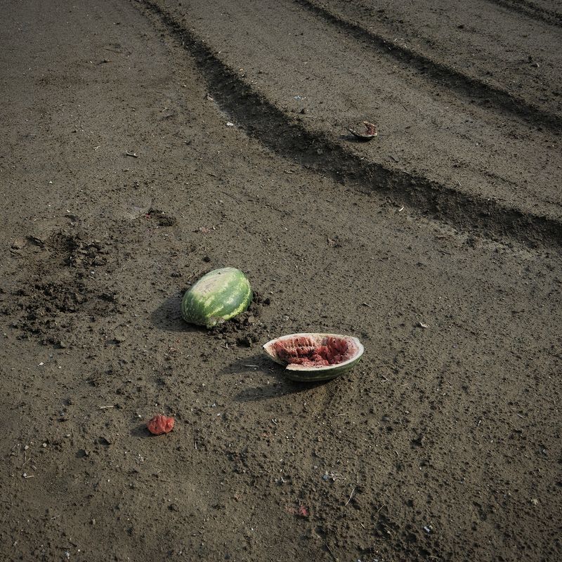 © Chloe Pissa - Image from the The R of Taurus photography project