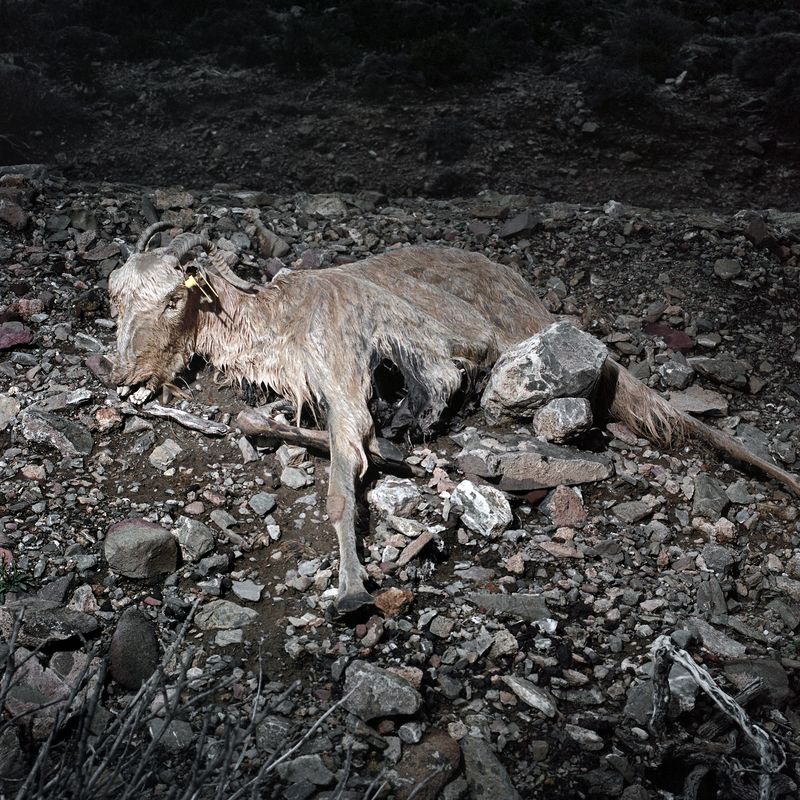 © Chloe Pissa - Image from the The R of Taurus photography project