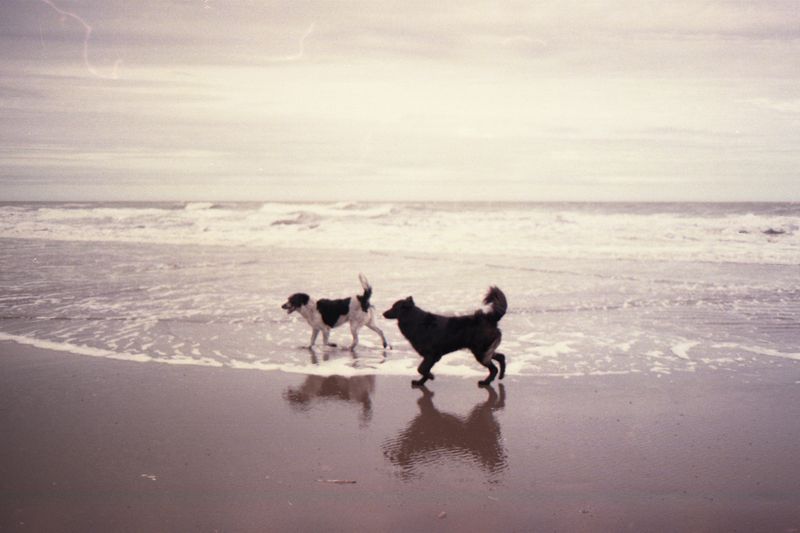 © Violeta Capasso - Image from the the cost photography project