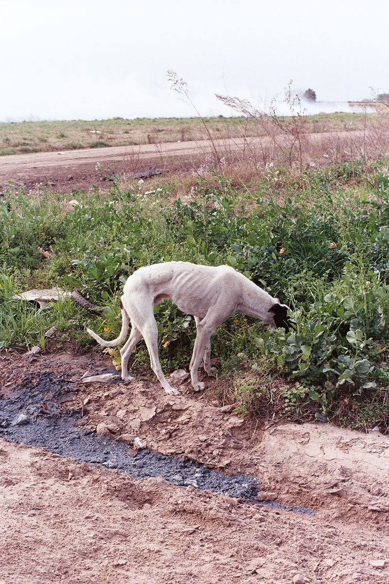 © Violeta Capasso - Image from the the cost photography project
