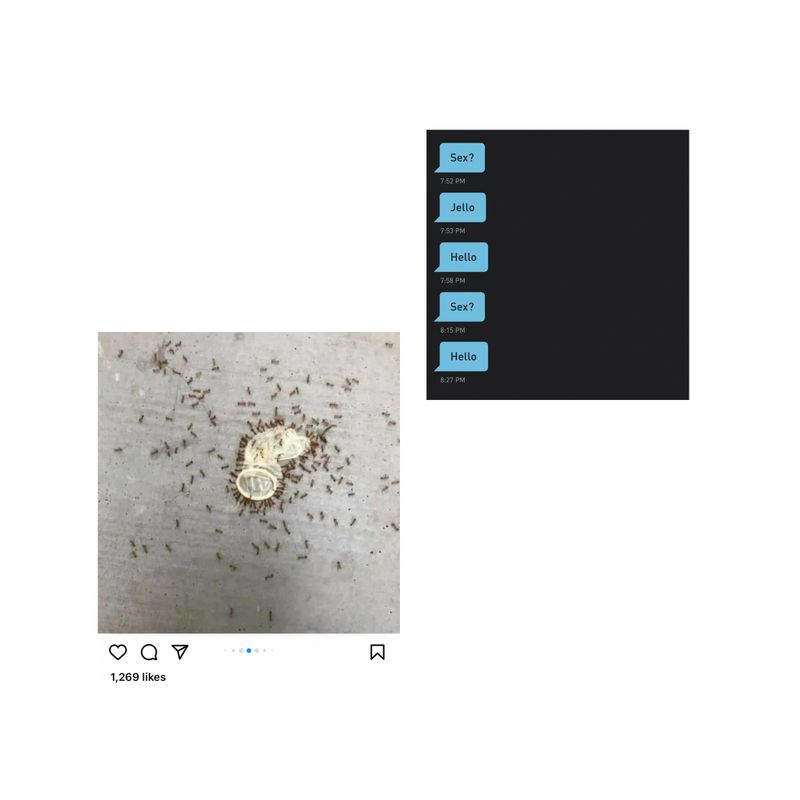 © Luiz Bicalho - Sext I