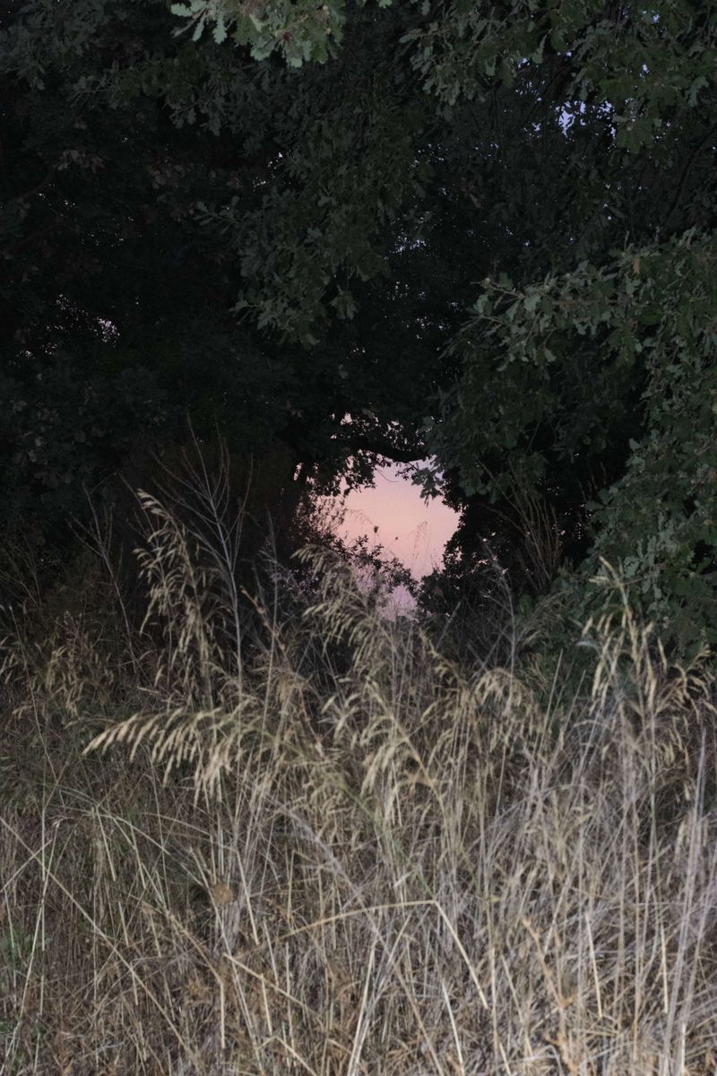 © Sara Rinaldi - Image from the For absence and surplus alike, a single motion of the neck photography project