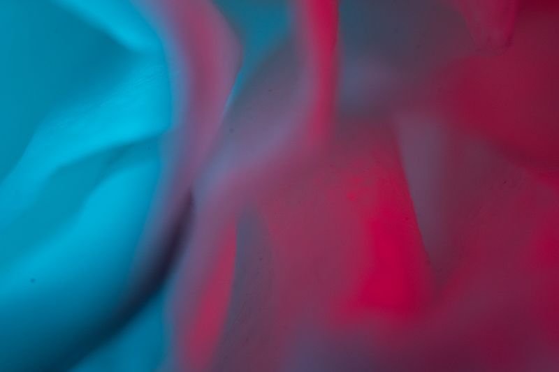 © María Clara Gutiérrez - Image from the MICROMOGONIA - what is hidden in front of our eyes photography project