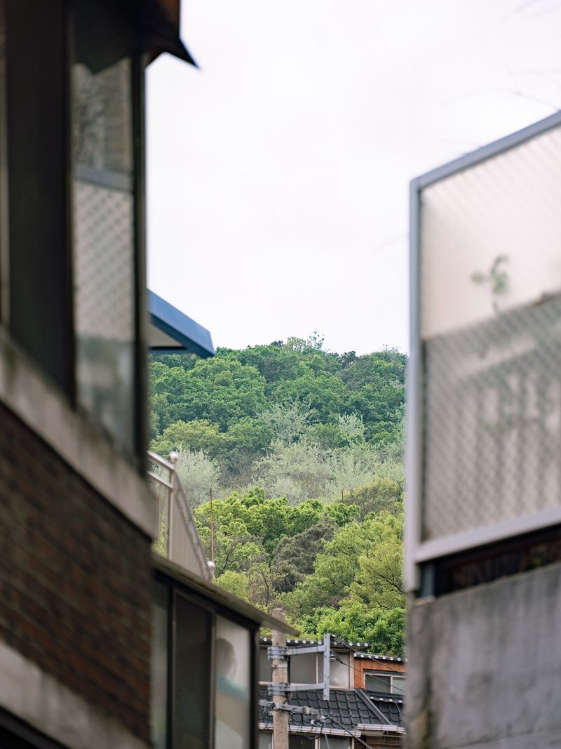 © JAEYONG CHO - Approaching Prospect, Mt. Ansan from Hongje-dong, 2024, (Original photograph)