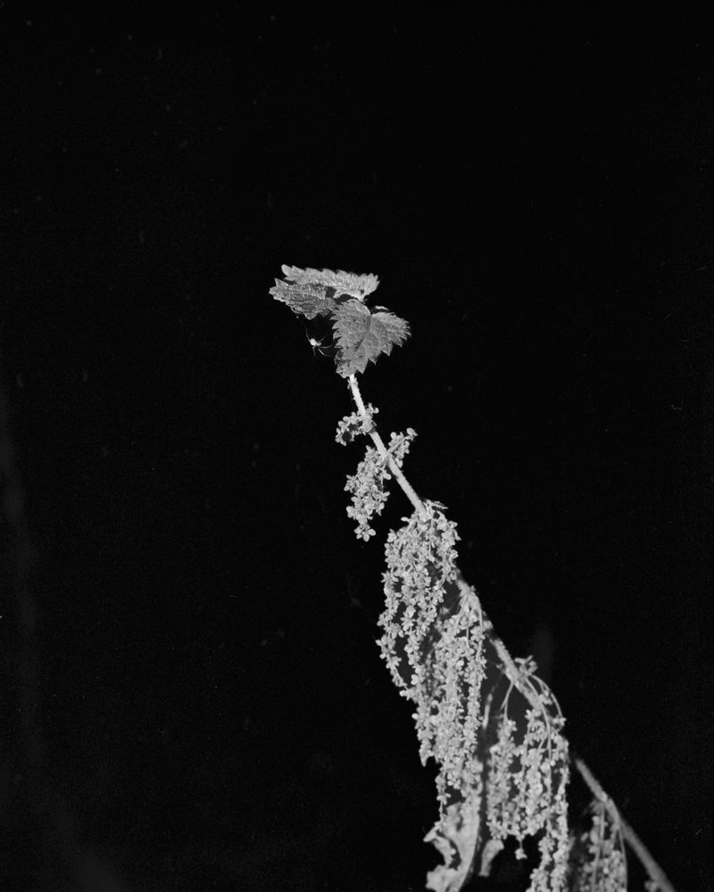© Joseph Kennel - Image from the Paleosol photography project