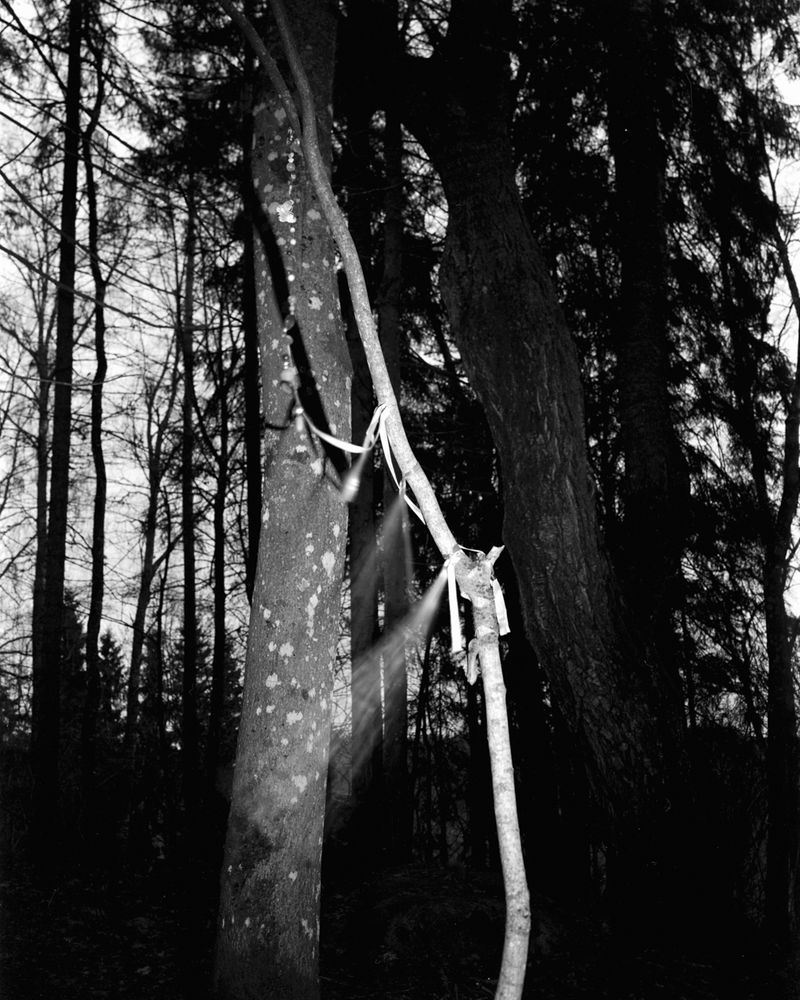 © Joseph Kennel - Image from the Paleosol photography project