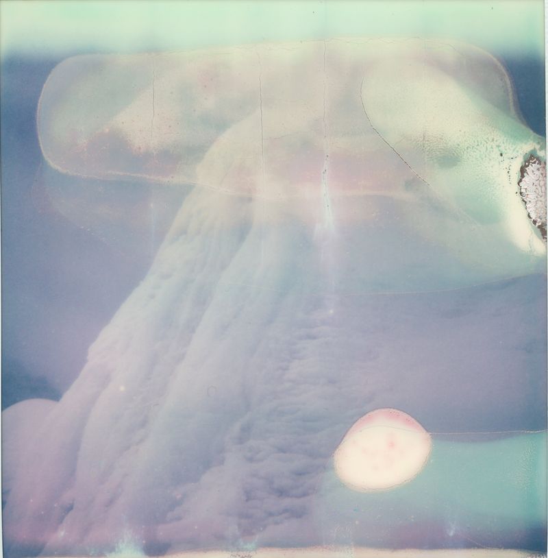 Image from a project on PhMuseum