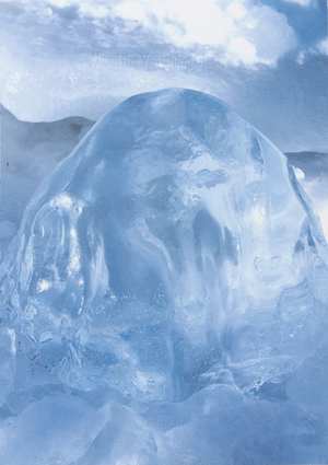 About the Vanishing Glaciers by Saha Kim