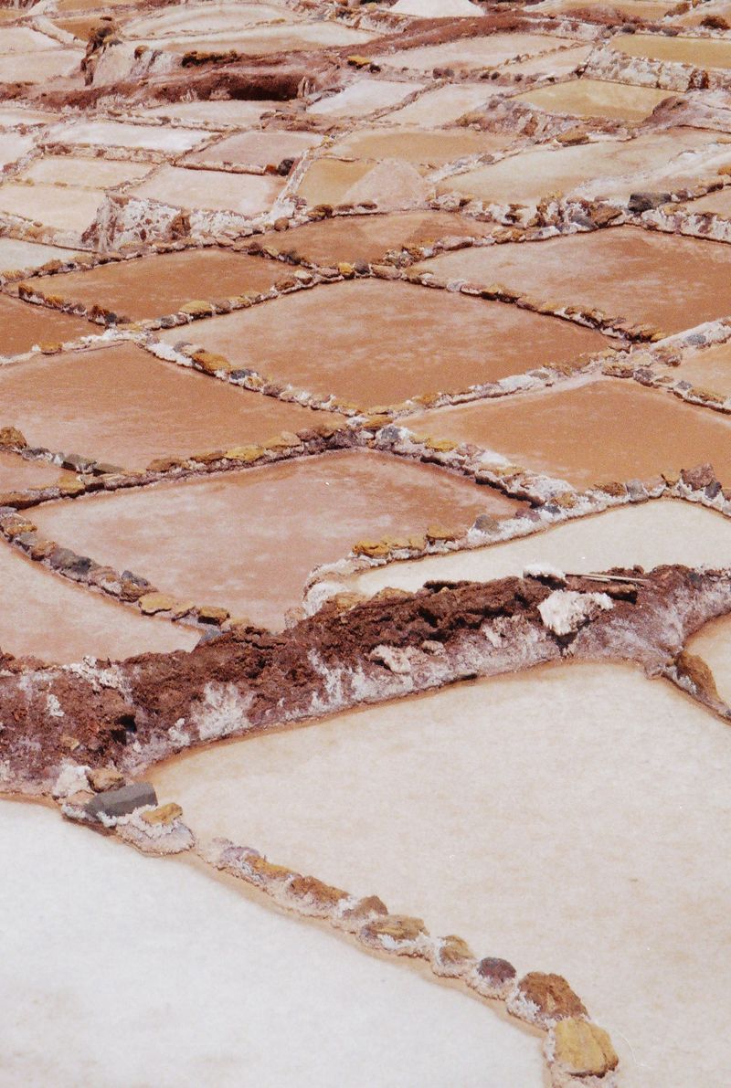 © Saha Kim - Image from the UNIVERSEARTH photography project