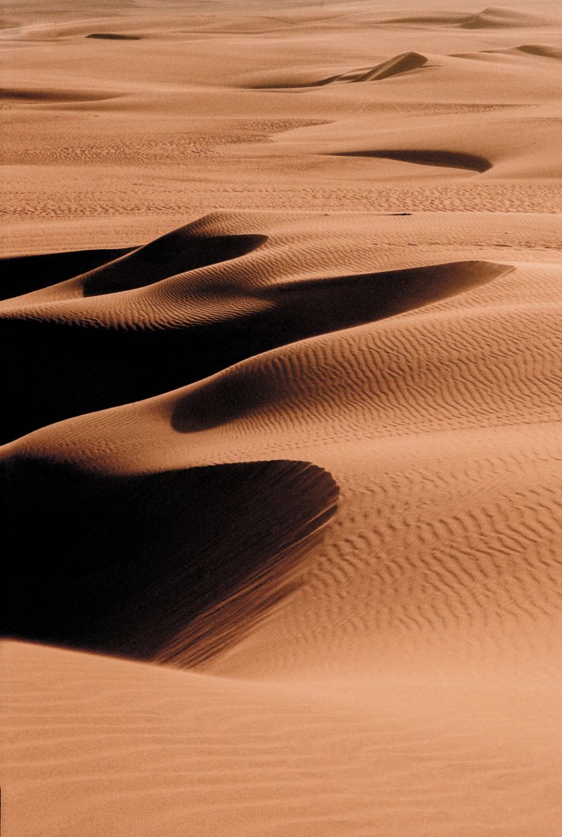 © Saha Kim - Image from the UNIVERSEARTH photography project