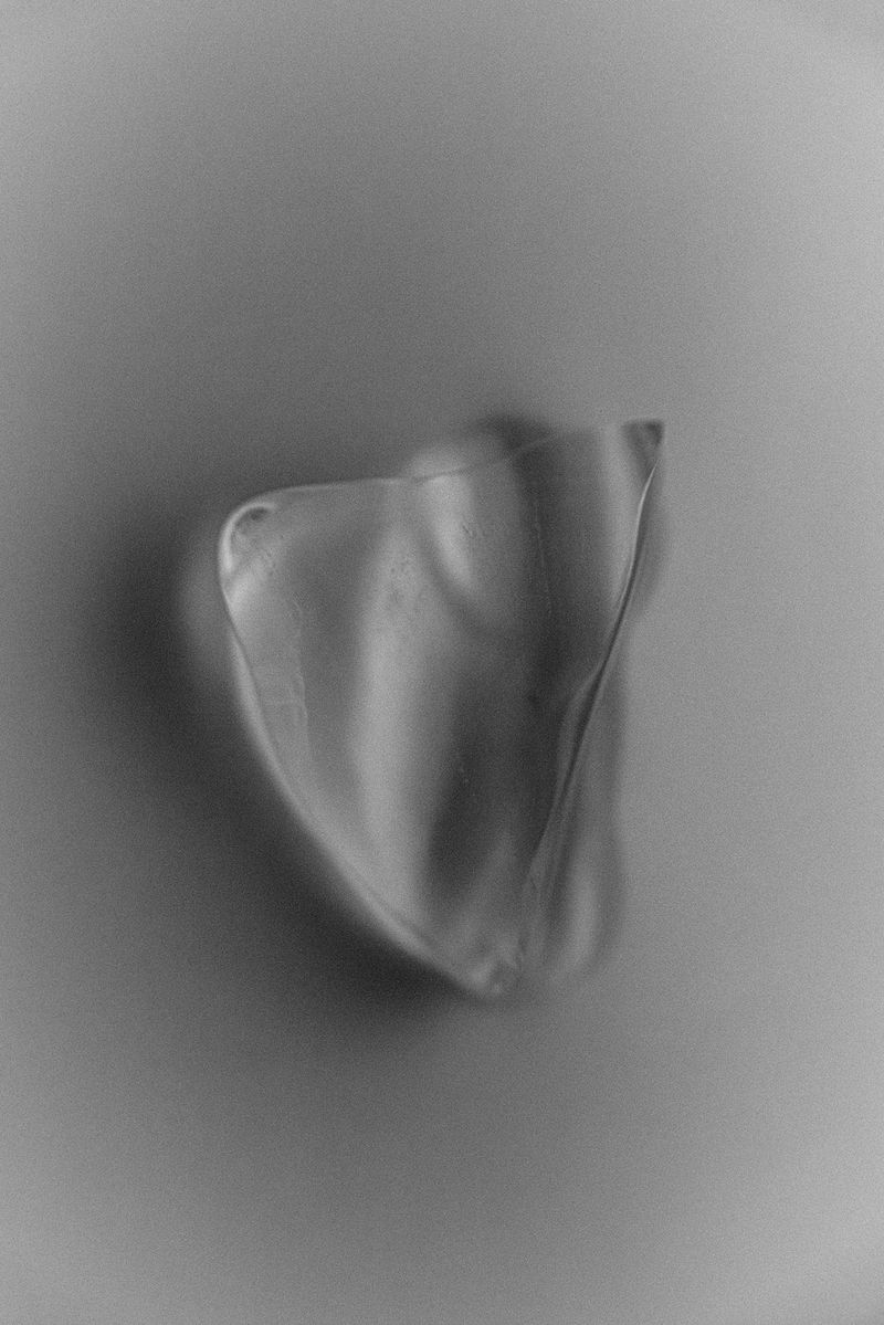 © Saha Kim - Image from the Chasing the Vanish photography project