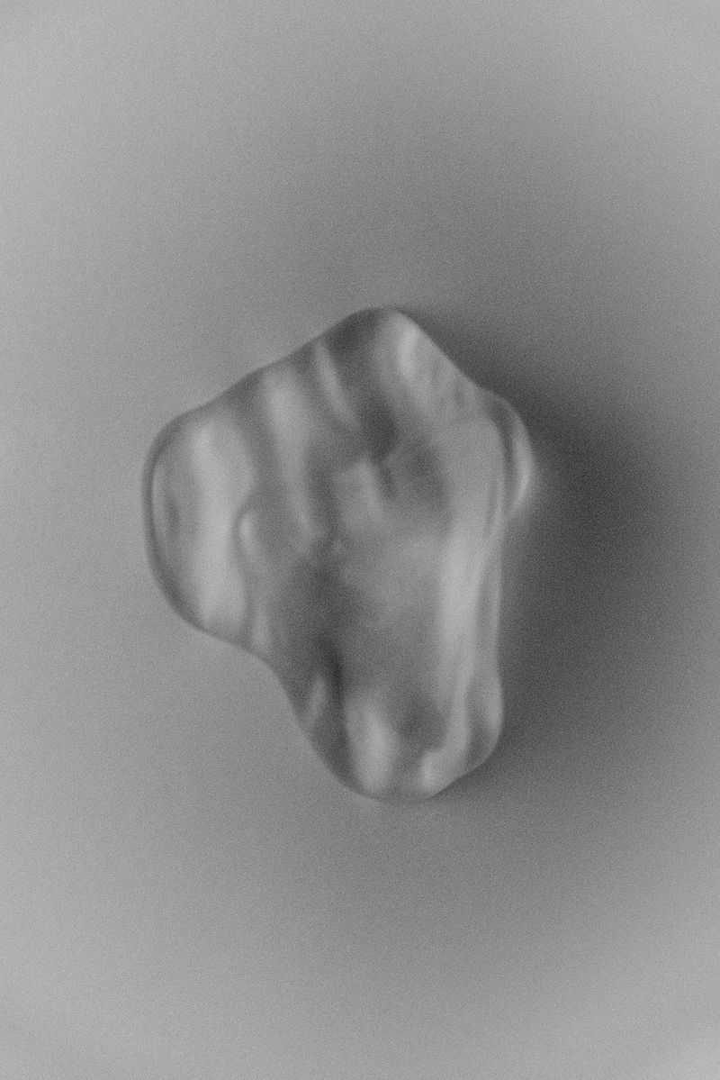 © Saha Kim - Image from the Chasing the Vanish photography project